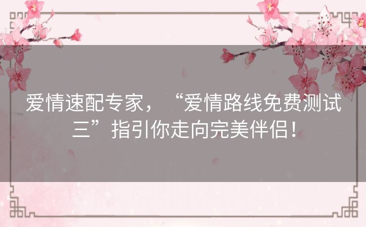 爱情速配专家，“爱情路线免费测试三”指引你走向完美伴侣！