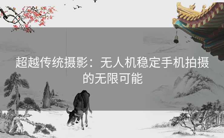 超越传统摄影：无人机稳定手机拍摄的无限可能