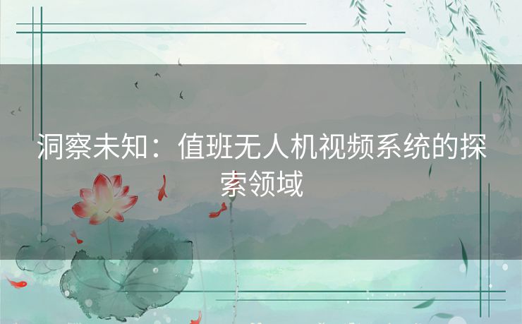 洞察未知：值班无人机视频系统的探索领域
