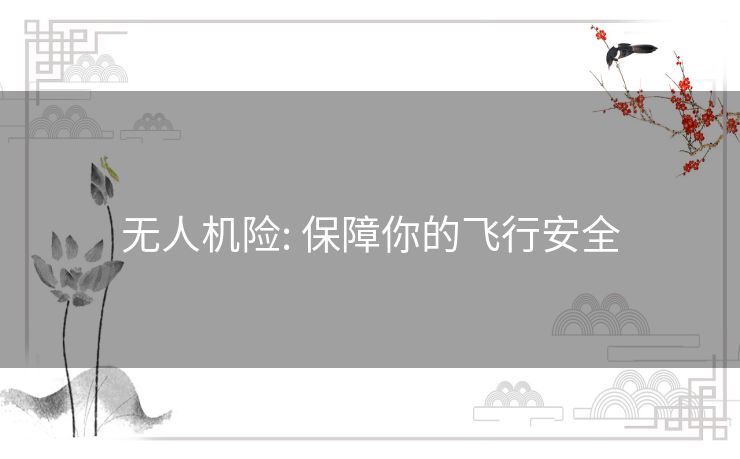 无人机险: 保障你的飞行安全