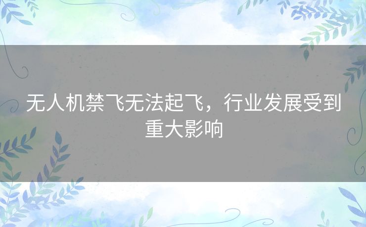 无人机禁飞无法起飞，行业发展受到重大影响
