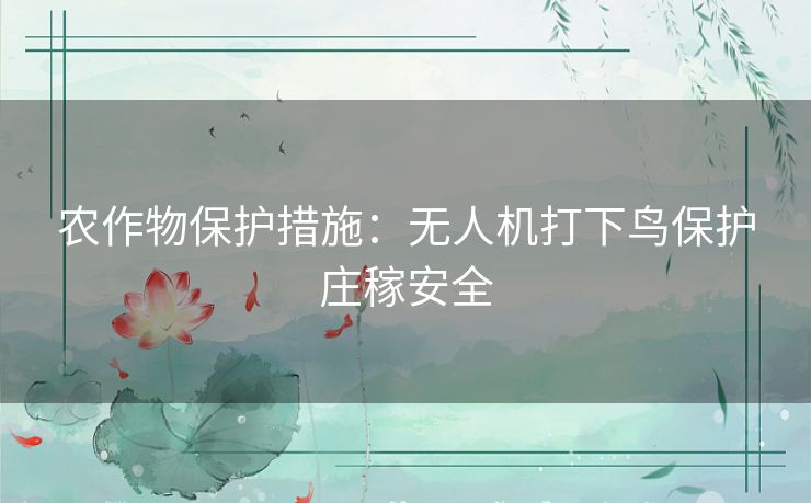 农作物保护措施：无人机打下鸟保护庄稼安全