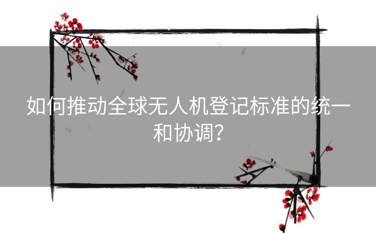如何推动全球无人机登记标准的统一和协调？