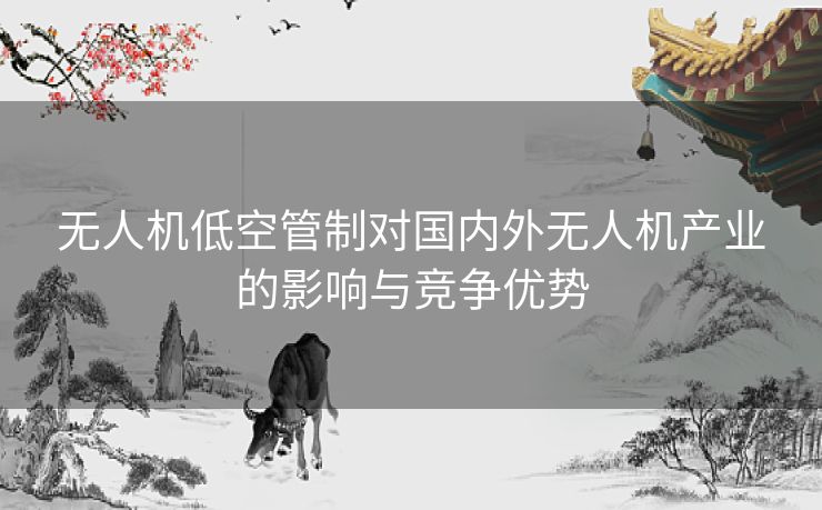 无人机低空管制对国内外无人机产业的影响与竞争优势