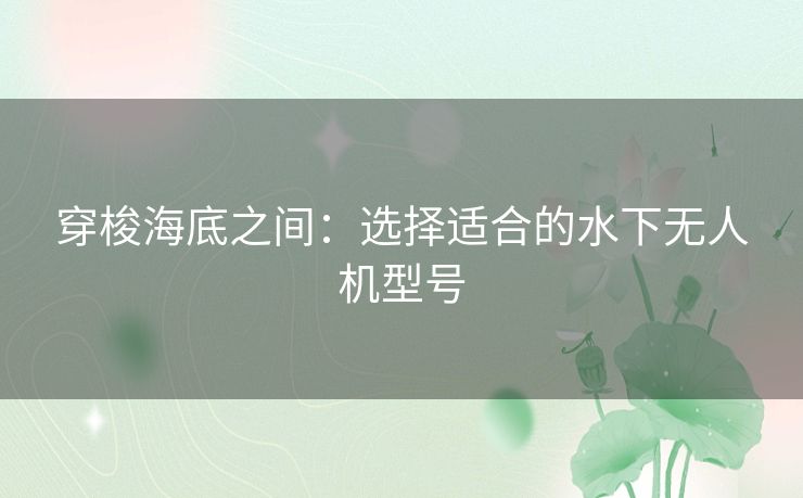 穿梭海底之间：选择适合的水下无人机型号