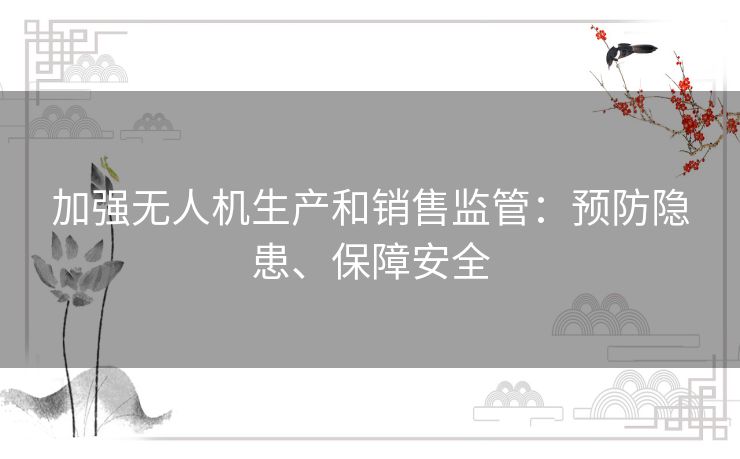 加强无人机生产和销售监管：预防隐患、保障安全