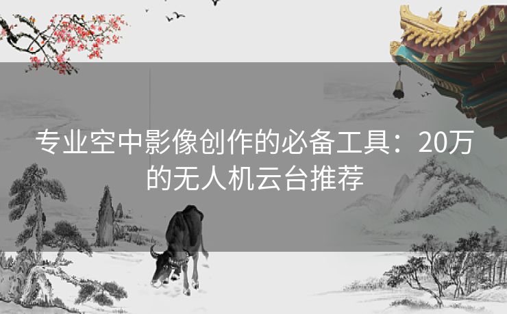 专业空中影像创作的必备工具：20万的无人机云台推荐