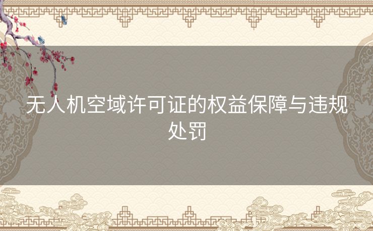 无人机空域许可证的权益保障与违规处罚