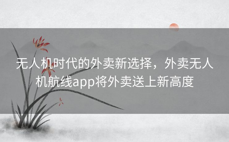 无人机时代的外卖新选择，外卖无人机航线app将外卖送上新高度