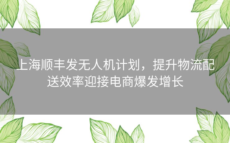 上海顺丰发无人机计划，提升物流配送效率迎接电商爆发增长