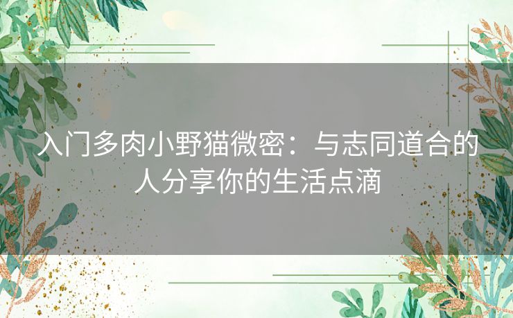 入门多肉小野猫微密：与志同道合的人分享你的生活点滴