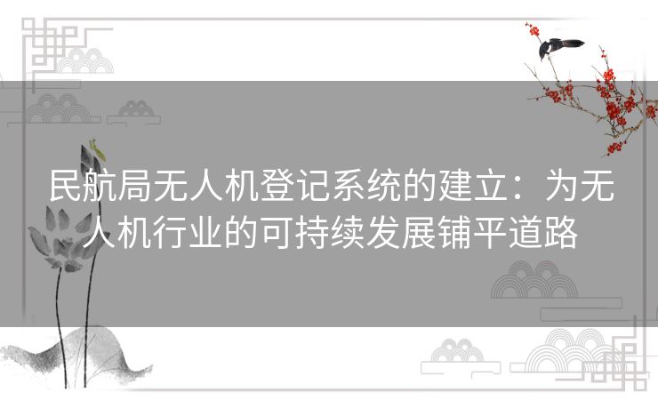 民航局无人机登记系统的建立：为无人机行业的可持续发展铺平道路