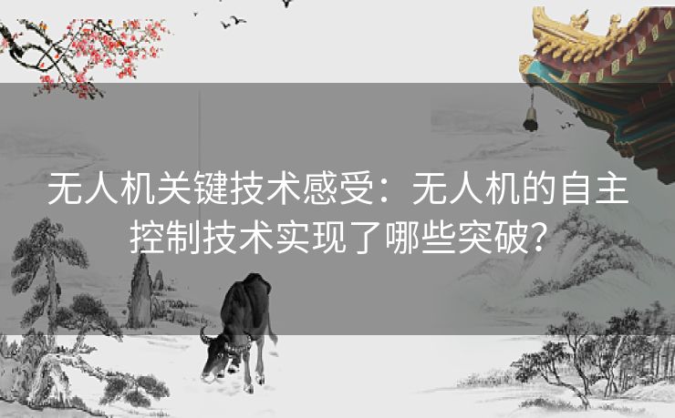 无人机关键技术感受：无人机的自主控制技术实现了哪些突破？