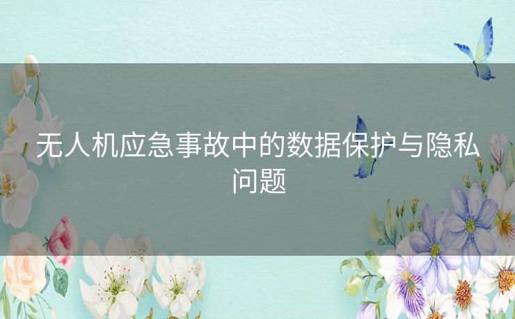 无人机应急事故中的数据保护与隐私问题