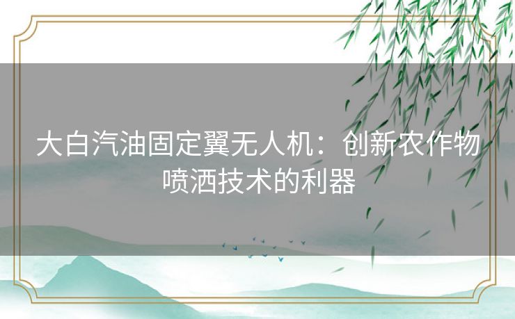大白汽油固定翼无人机：创新农作物喷洒技术的利器