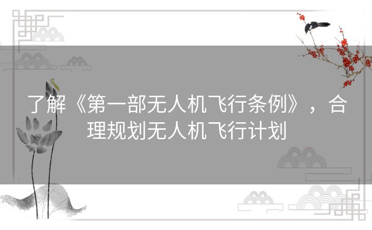 了解《第一部无人机飞行条例》，合理规划无人机飞行计划