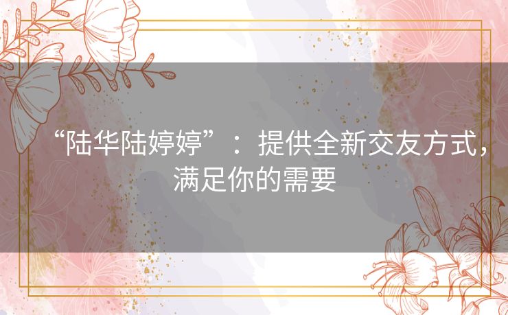 “陆华陆婷婷”：提供全新交友方式，满足你的需要