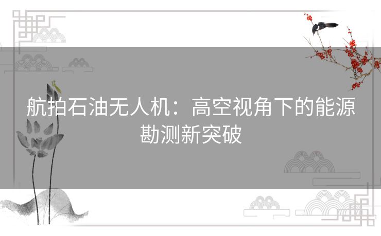 航拍石油无人机：高空视角下的能源勘测新突破