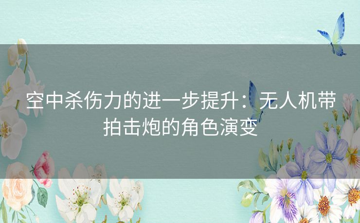 空中杀伤力的进一步提升：无人机带拍击炮的角色演变