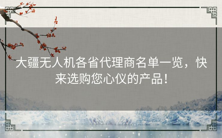 大疆无人机各省代理商名单一览，快来选购您心仪的产品！