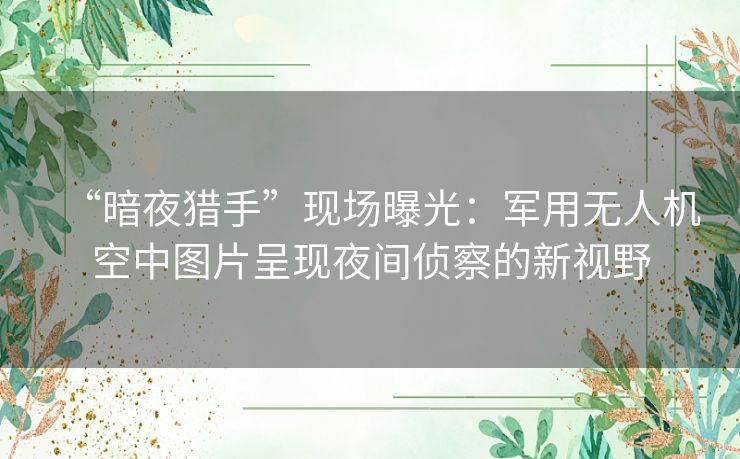 “暗夜猎手”现场曝光：军用无人机空中图片呈现夜间侦察的新视野