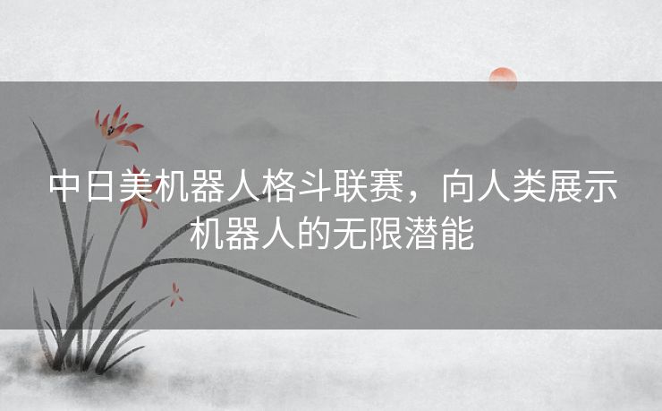 中日美机器人格斗联赛，向人类展示机器人的无限潜能