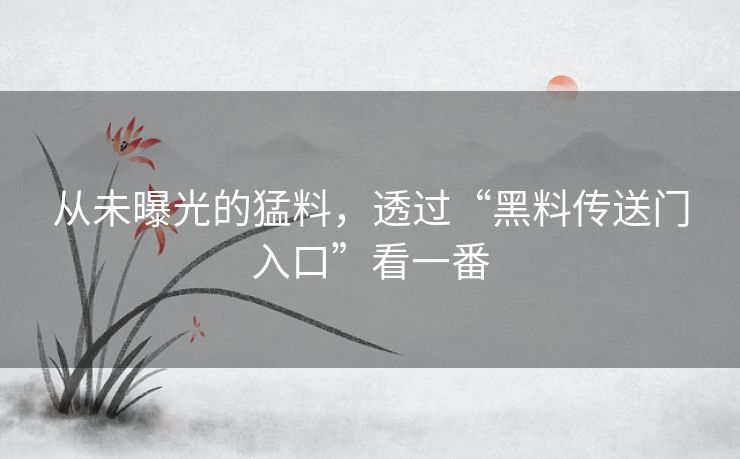 从未曝光的猛料，透过“黑料传送门入口”看一番