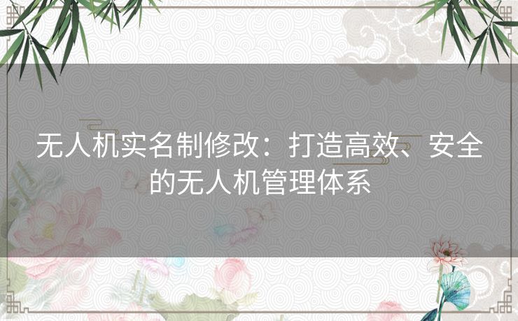 无人机实名制修改：打造高效、安全的无人机管理体系