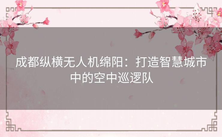 成都纵横无人机绵阳：打造智慧城市中的空中巡逻队
