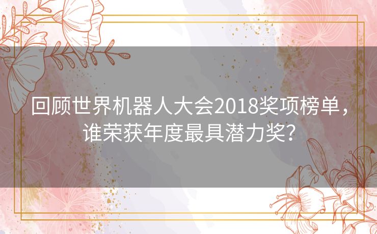 回顾世界机器人大会2018奖项榜单，谁荣获年度最具潜力奖？
