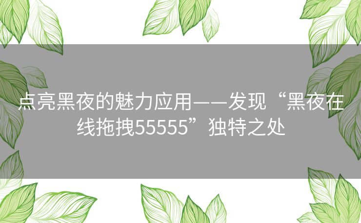 点亮黑夜的魅力应用——发现“黑夜在线拖拽55555”独特之处