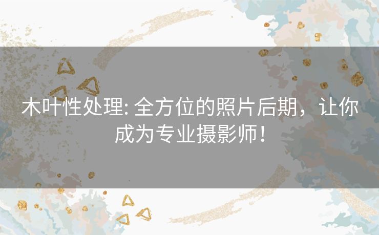 木叶性处理: 全方位的照片后期，让你成为专业摄影师！