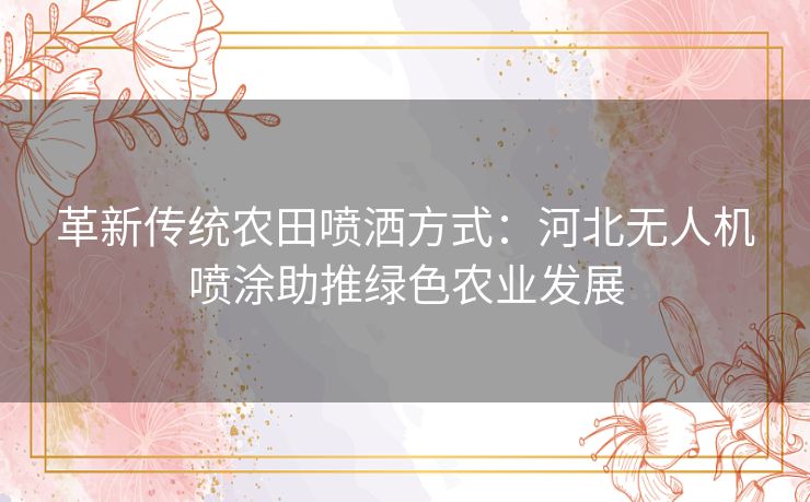 革新传统农田喷洒方式：河北无人机喷涂助推绿色农业发展