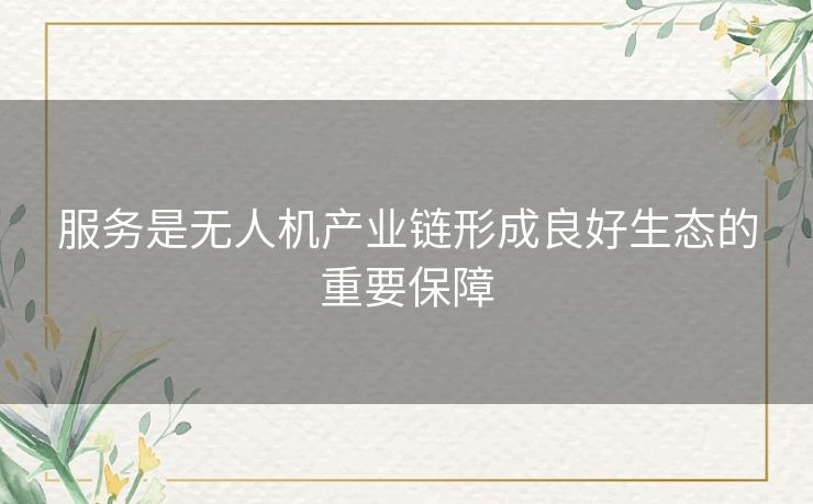 服务是无人机产业链形成良好生态的重要保障