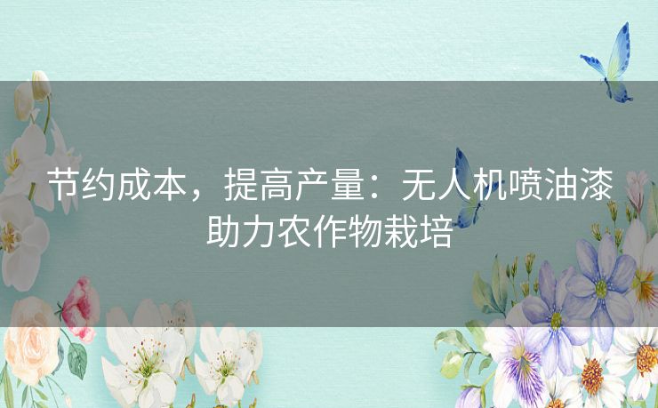 节约成本，提高产量：无人机喷油漆助力农作物栽培