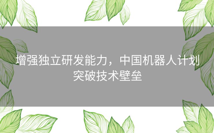 增强独立研发能力，中国机器人计划突破技术壁垒