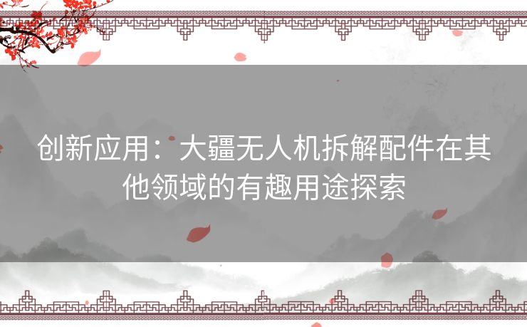 创新应用：大疆无人机拆解配件在其他领域的有趣用途探索