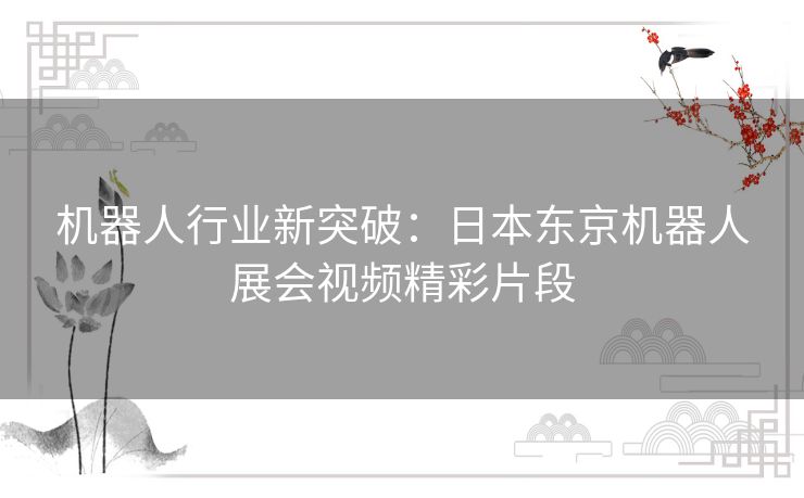 机器人行业新突破：日本东京机器人展会视频精彩片段