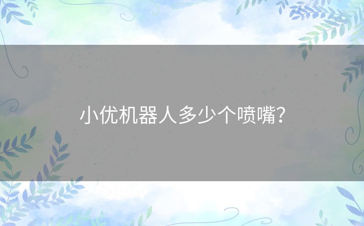 小优机器人多少个喷嘴？