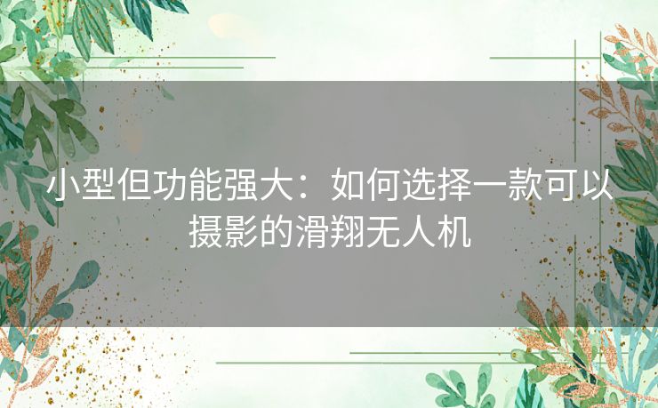 小型但功能强大：如何选择一款可以摄影的滑翔无人机