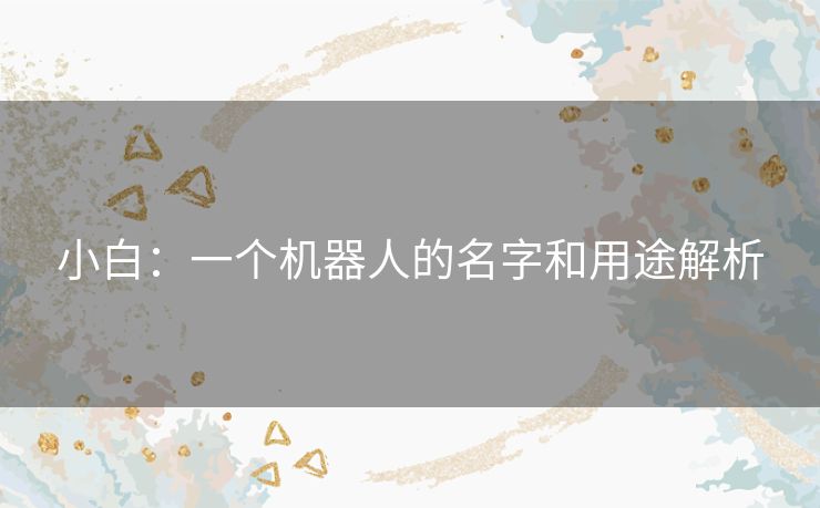 小白：一个机器人的名字和用途解析