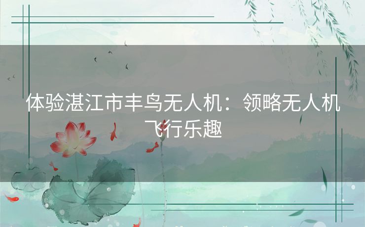 体验湛江市丰鸟无人机：领略无人机飞行乐趣