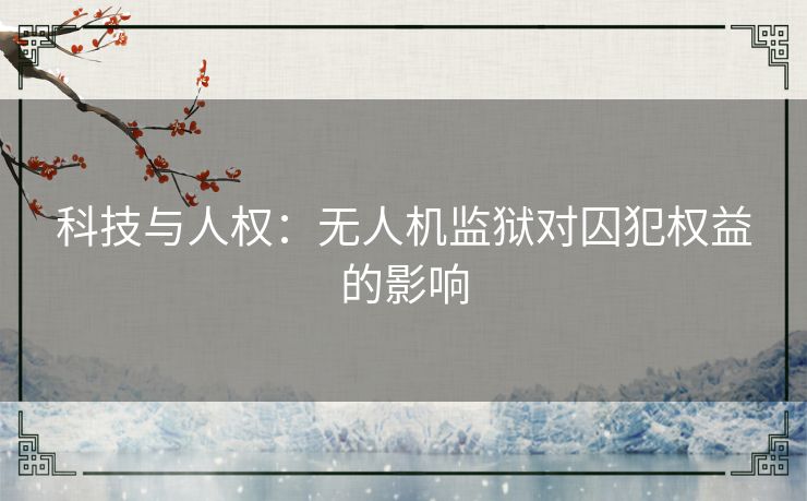 科技与人权：无人机监狱对囚犯权益的影响