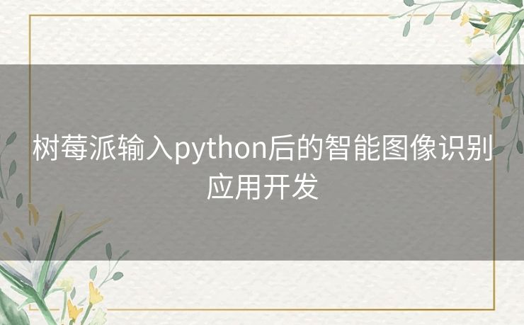 树莓派输入python后的智能图像识别应用开发