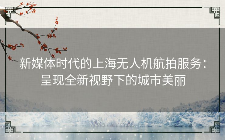 新媒体时代的上海无人机航拍服务：呈现全新视野下的城市美丽