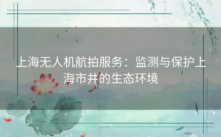 上海无人机航拍服务：监测与保护上海市井的生态环境