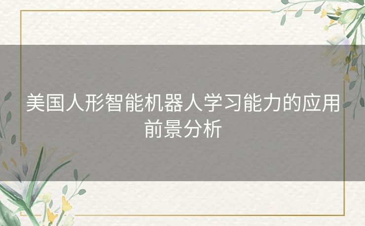 美国人形智能机器人学习能力的应用前景分析