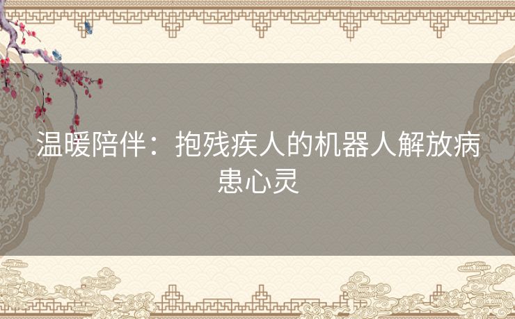 温暖陪伴：抱残疾人的机器人解放病患心灵