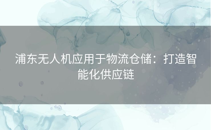 浦东无人机应用于物流仓储：打造智能化供应链