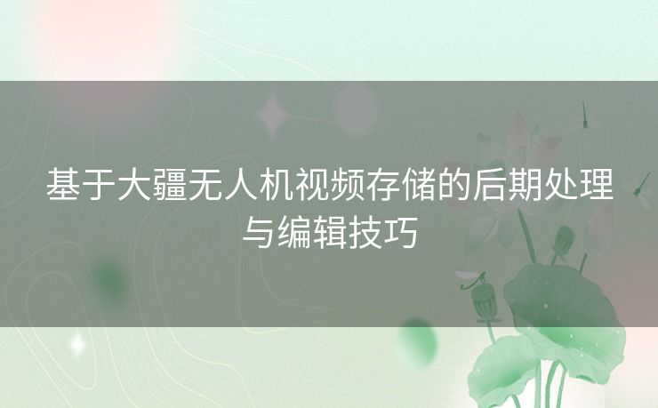基于大疆无人机视频存储的后期处理与编辑技巧